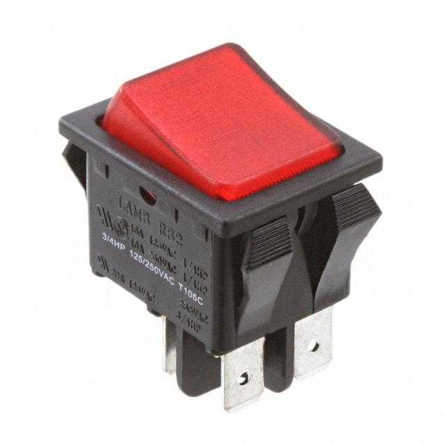 E-SWITCH 翘板开关 RB242D1000-116