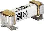 SCHURTER 熔断保险丝 3404.2412.22