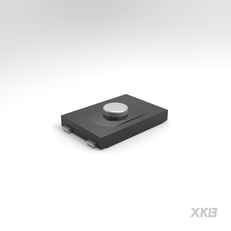 TS-1928-C--云汉芯城ICKey.cn