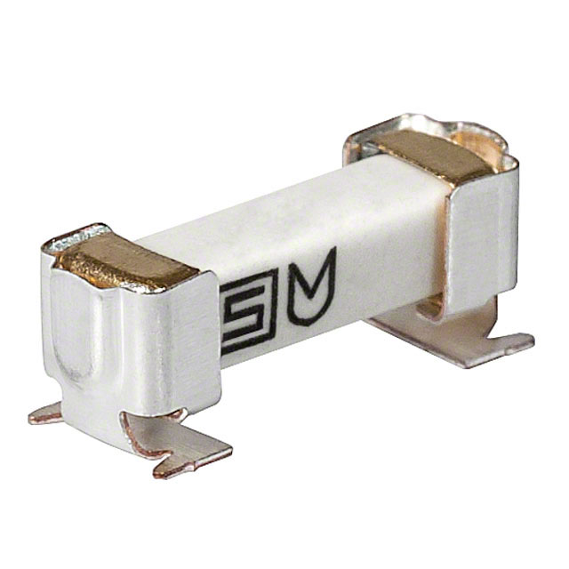 SCHURTER 熔断保险丝 3404.2419.11