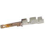 MOLEX 矩形连接器 - 触头 1722533111